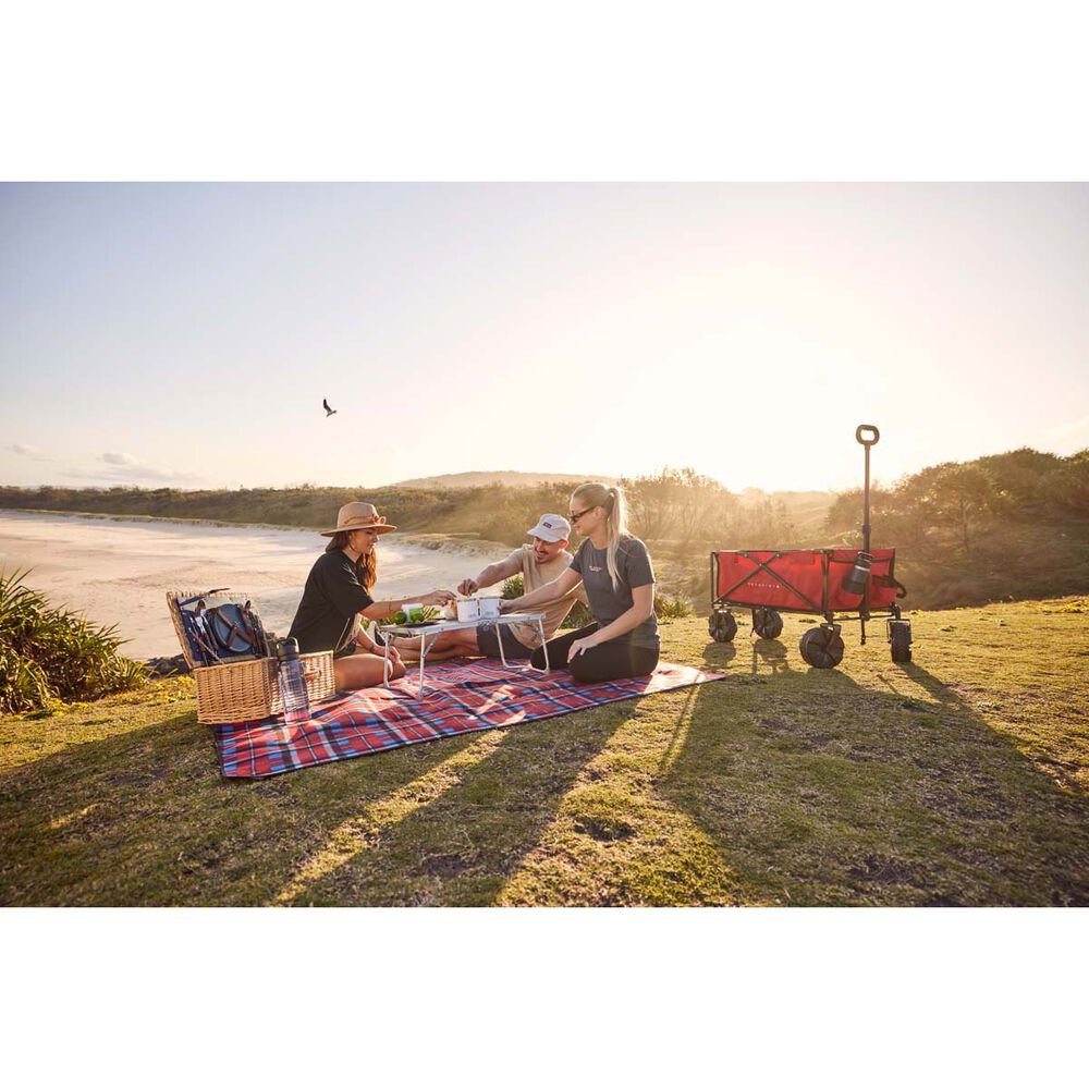  Wanderer Rugged Beach Cart